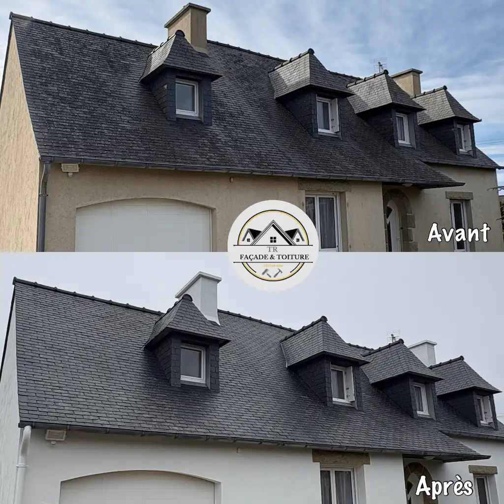 Nettoyage de toiture plougasnou (29630)
